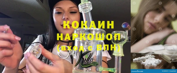 твердый Дмитровск