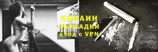 твердый Дмитровск
