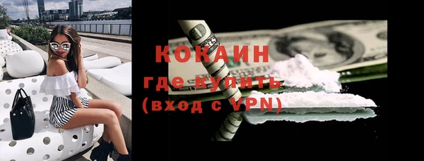 твердый Дмитровск