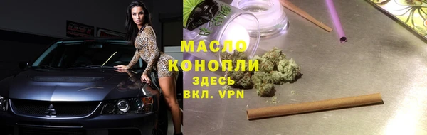 твердый Дмитровск
