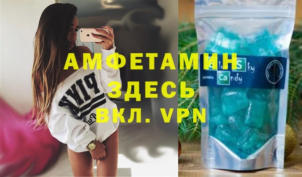 твердый Дмитровск